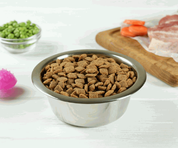 Can You Freeze Fresh Pet Dog Food