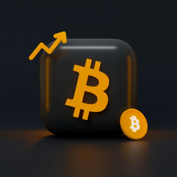 Buy Bitcoins to Get Rich: The Realities of Bitcoin Investment