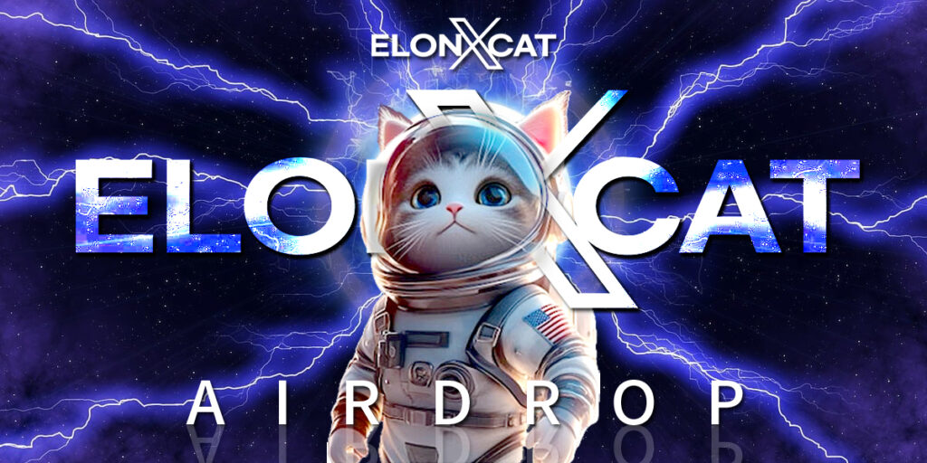 elonxcat