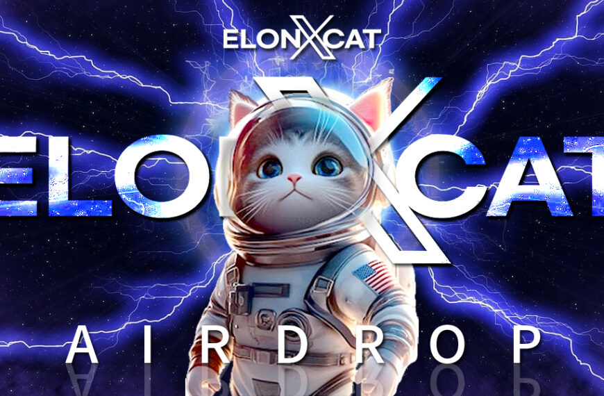 elonxcat